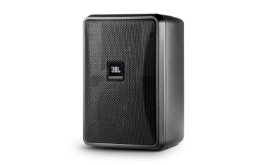 CONTROL 28-1L 全天候室内外全频音箱